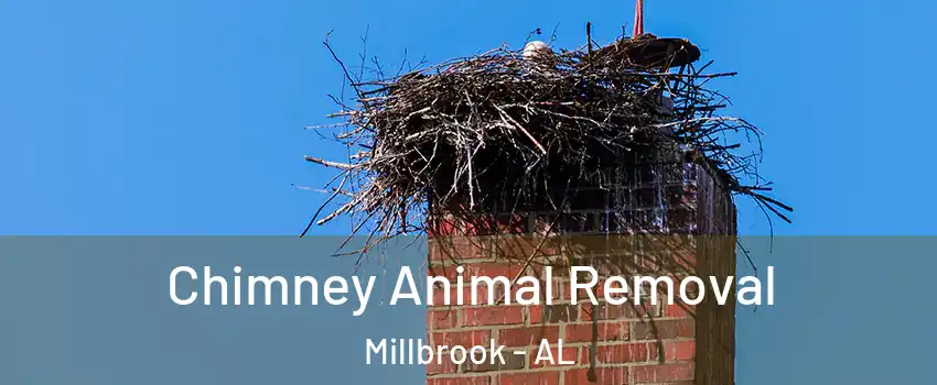 Chimney Animal Removal Millbrook - AL