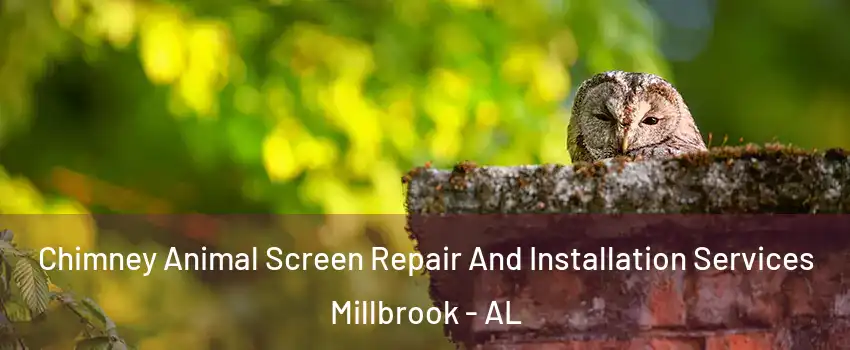 Chimney Animal Screen Repair And Installation Services Millbrook - AL