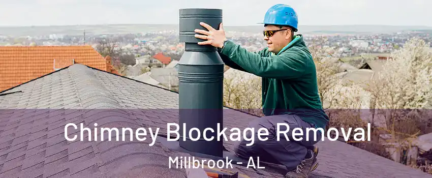  Chimney Blockage Removal Millbrook - AL