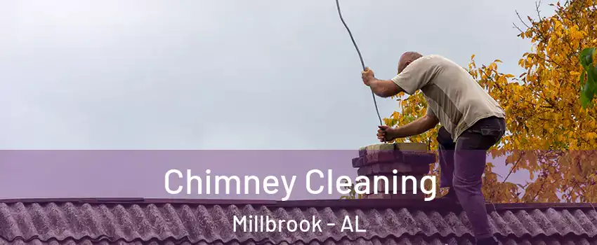  Chimney Cleaning Millbrook - AL