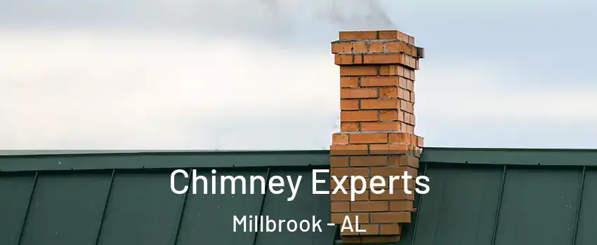  Chimney Experts Millbrook - AL