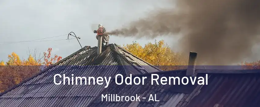  Chimney Odor Removal Millbrook - AL
