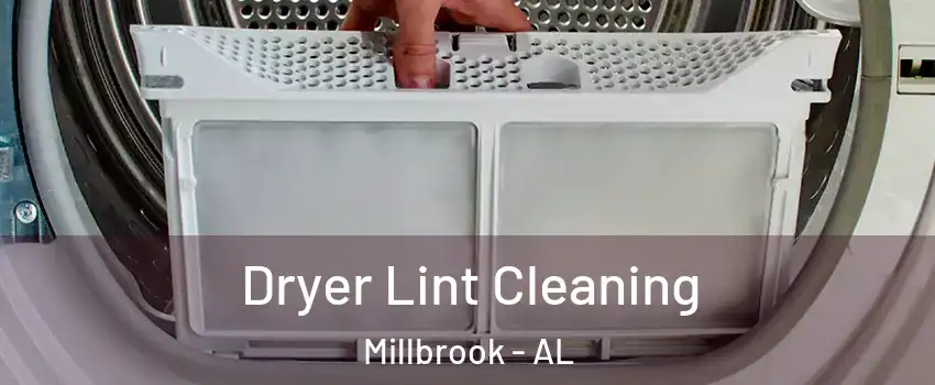  Dryer Lint Cleaning Millbrook - AL