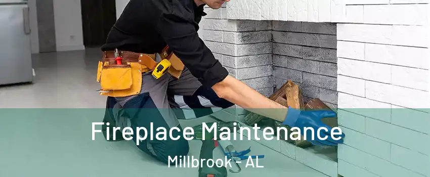  Fireplace Maintenance Millbrook - AL