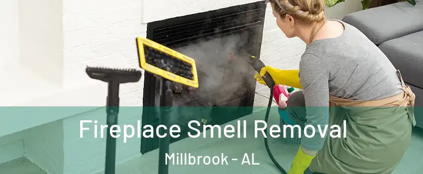  Fireplace Smell Removal Millbrook - AL