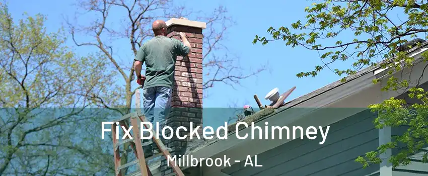  Fix Blocked Chimney Millbrook - AL