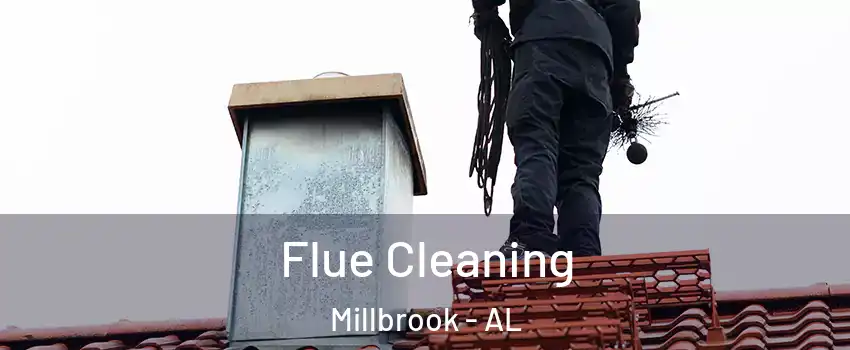  Flue Cleaning Millbrook - AL