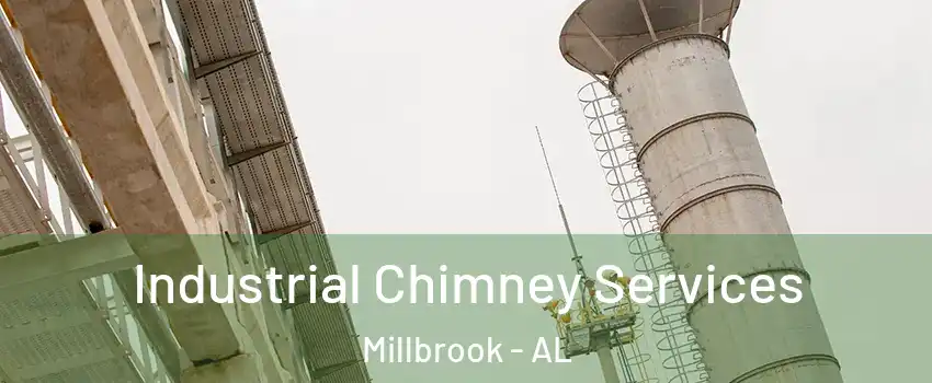  Industrial Chimney Services Millbrook - AL
