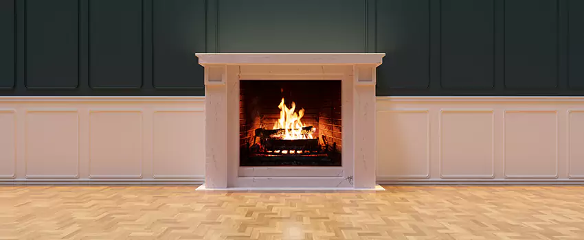 Napoleon Electric Fireplaces Inspection Service in Millbrook, Alabama