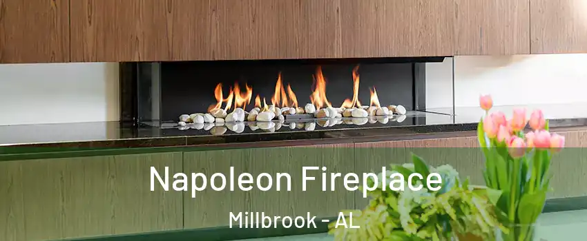  Napoleon Fireplace Millbrook - AL